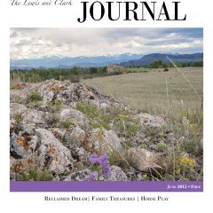 June 2015 LCJ